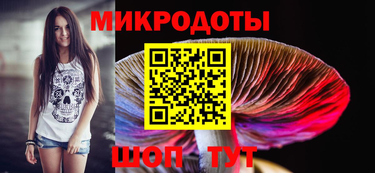 Галлюциногенные грибы GOLDEN TEACHER  Вход с VPN  Красноармейск  Галлюциногенные грибы Magic Shrooms 